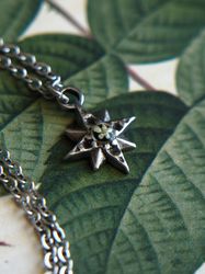 Pressed flower necklace, Small star necklace, Silver stainless steel necklace