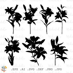 Lily Svg, Lily Silhouette, Flowers Cricut, Lily Clipart Png, Lily Stencil Dxf, Lily Template Svg, Flower Silhouette Svg