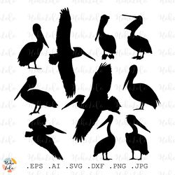 Pelican Svg, Pelican Silhouette, Pelican Cricut, Pelican Stencil Svg, Pelican Template Dxf, Bird Svg, Bird Silhouette