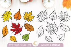 Realistic Fall Leaves Bundle Svg