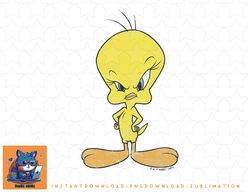 Looney Tunes Tweety Bird Distressed Glare Profile png, sublimation, digital download