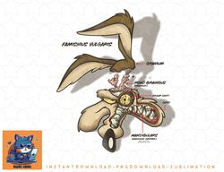 Looney Tunes Wile E. Coyote X-Ray png, sublimation, digital download