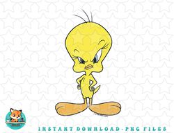 Looney Tunes Tweety Bird Raised Eyebrow Distressed png, sublimation, digital download