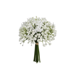 White Baby's Breath Bundle Classic Traditions