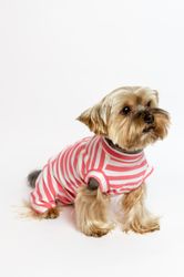 Pet Dog Cats Recovery Suit Coat Soft Surgery Wound Protect Vest Clothes Comfortable Puppy Clothes