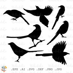 Magpie Svg, Magpie Silhouette, Bird Cricut, Magpie Stencil Dxf, Magpie Clipart Png, Magpie Templates, Bird Svg