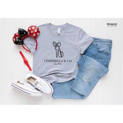 Cute Disney Shirts, Cinderella And Co Shirt, Bella Canvas Shirt, Disneyland Family Shirts, Disney Vacation Tee, Disneyla