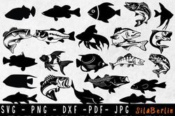 Fish Bundle SVG, Fish Svg, Fish Clipart Fish Bundle SVG, Fish Svg, Fish Clipart