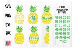 Pineapple Bundle SVG Monogram Pineapple Bundle SVG Monogram