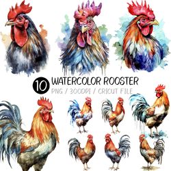 Watercolor Rooster PNG |  Animal, nursery, png, chicken, hen, upper body, face, image, illustration, design