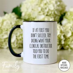 Clinical Instructor Mug - If At First You Don't Succeed... Coffee Mug - Clinical Instructor Gift - Appreciation Gift