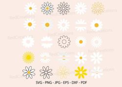 Daisy Bundle Svg, Flower, Floral, Spring