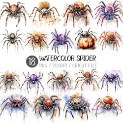 Watercolor Spider PNG | halloween, Tarantula, pumpkin, antique, vintage, clip art, design, illustration, cricut, cute