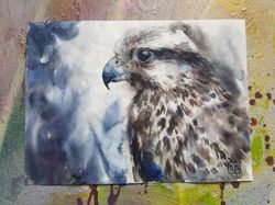 Watercolor artwork painting Falcon