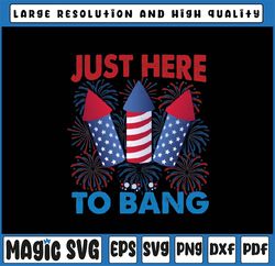 Funny Fourth of July 4th of July American Flag Png, Just Here To Bang Fireworks Png, Independence Day Png, Digital