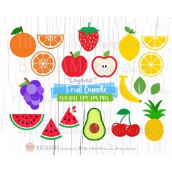 Fruit SVG Bundle,Cut File,Layered,Lemon,Cherry,Strawberry,Orange,Watermelon,Pineapple,Apple,Summer,Clipart,Cricut,Instan