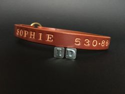 Bespoke Leather Dog Collar with Engraved Tag (Name, Phone Number) - Premium Quality Italian Leather, Made to Measure