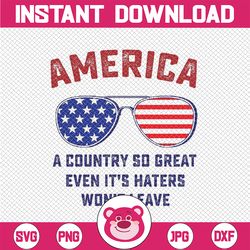 America A Country So Great Even it's Haters Won't Leave USA Svg, American Flag Sungaless Svg,  Independence Day Png