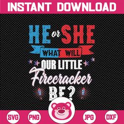 He or She What Will Our Little Firecracker Be Gender Reveal Png, Firecracker Gender Png, Independence Day Png, Digital