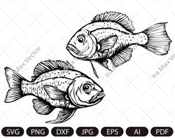 Fish SVG / Cute fish SVG / little fishes Silhouette / fish Vector / Fish cut file / SVG Files