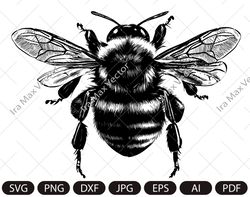 BumbleBee svg ,honey bee , bumble bee svg png jpg ,BumbleBee clip art ,BumbleBee Silhouette ,BumbleBee printable, bee