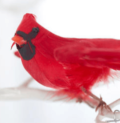 Artificial Flying Cardinal