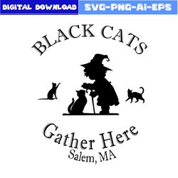 Black Cats Gather Here Salem Ma Halloween Witch Svg, Black Cat Svg, With Svg, Cat Svg, Halloween Svg, Png Eps File