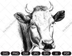 Cow Vector Animal,cow head Illustration,cow face svg, Print on Demand, Wall Art, Logo