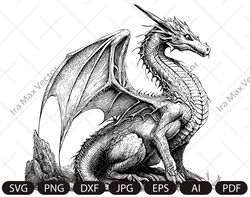 Dragon svg, Dragon detailed, Dragon Clipart, Dragon Vector, Chinese Dragon SVG, Fantasy Dragon SVG, Asian dragon Svg
