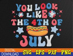 You Look Like The Fourth Of July sv, 4th Of July svg, Funny I-ndependence-Day Png, 4th July Png, Svg, Eps, Png, Dxf, Dig