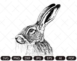 HARE png , clipart PNG, Easter hare PNG, bunny Sublimation, Rabbit Clipart, spring Png, Bunny Png, spring sublimation.