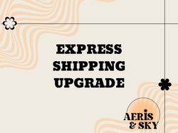 Priority Express Shipping Upgrade (1-3Business Day Delivery)