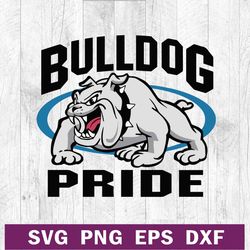 Georgia Bulldogs football pride SVG, Georgia Bulldogs SVG, Bulldogs pride SVG PNG DXF