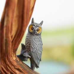 Miniature Long Eared Owl