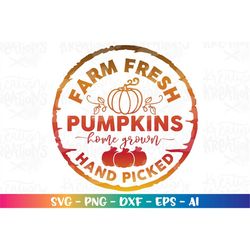 Farm Fresh Pumpkins Hand Picked SVG Fall Pumpkin Season svg cut file Cricut Silhouette instant Download vector SVG png d