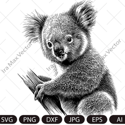 Koala svg file, Koala detailed file, Animal Face svg , Cute Koala svg, Koala Face svg, Animal svg file, Australia svg fi