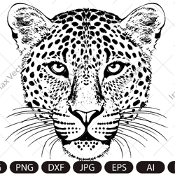 Leopard svg, Leopard Face SVG, Leopard head svg, Leopard clipart, Leopard Silhouette, Leopard portrait