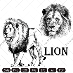 Lion Face svg | Lion Head svg | Lion svg | Lion King svg | Lions Mascot svg | Leo svg | Lion Head | Lion Printable | INS