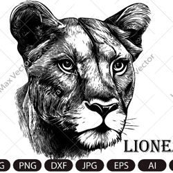 Lioness svg, Lioness head SVG, Lion face Svg, Wild cat Svg, Lion silhouette, Lioness portrait Svg, wild Lioness Svg, Lio