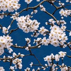 Sakura Flowers on a Azure Background Seamless Tileable Repeating Pattern