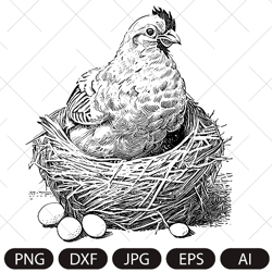Farm Hen and Eggs vector. Laying Hen in nest SVG. Bird chicken vintage sketch drawing clipart. Digital illustration