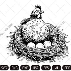 Farm Hen and Eggs vector. Laying Hen in nest SVG. Bird chicken vintage sketch drawing clipart. Digital illustration