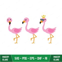 Pink Baby Flamingo Svg, Summer Svg, Beach, Flamingo Birthday Svg, Flamingo With Sunglasses, Dxf, Png, Eps, Cut Files - C