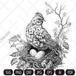 Hen Laying on Eggs in a Nest, Chicken Clipart, Farm birds, Bird in a nest, Instant Digital Download  ,Cut Files