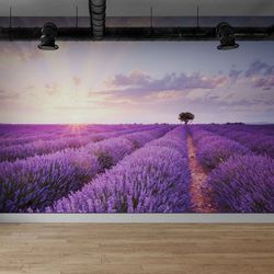Floral Lavender Feld Wall Murals for Wall
