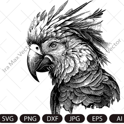 Parrot Svg, Exotic bird svg, Macaw svg, Silhouette dxf, cricut svg, bird Clipart, Parrot face svg, vector bird , Parrot
