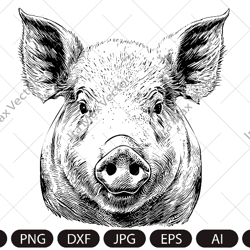 Pig Svg,Pig face, Piglet Head, Pig Silhouette, Pig detailed portrait, Farm Animals Silhouette