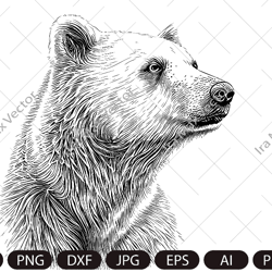Polar Bear SVG, Polar bear head svg, Polar bear face svg, Polar bear clipart svg, Polar bear detailed