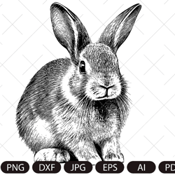 Rabbit SVG, Bunny monogram, easter , hunter svg, files for cricut, peeking animal clipart, face Vector image, Head Print