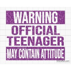 Warning Official Teenager svg, Official Teenager svg, 13th birthday svg, birthday girl svg, 13th birthday png-Printable,